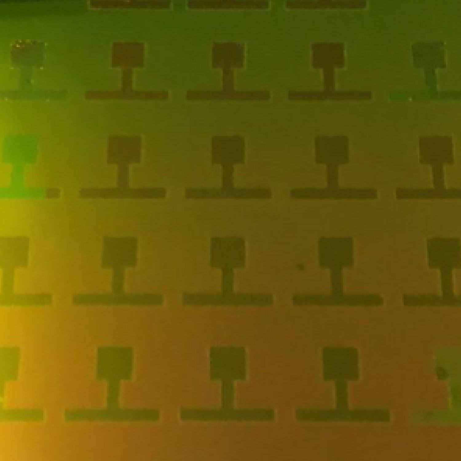 Micro e nano elettrodi e biosensori 2