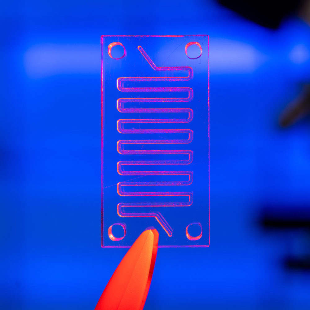 microfluidic devices and labs-on-chips 1